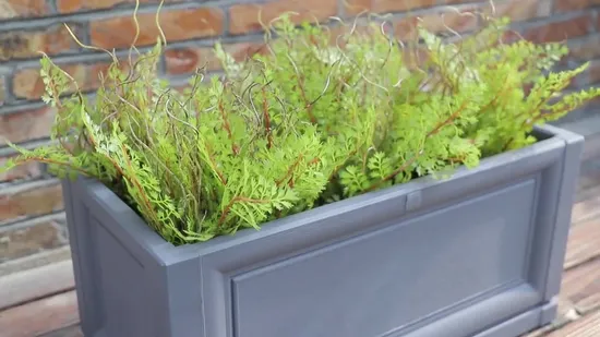 Square Plastic Hydroponic Flower Pot (KD441)