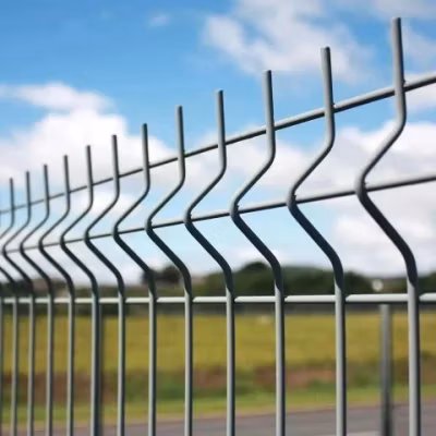 China Factory Pulverbeschichtetes 3D-gebogenes Drahtgeflecht-Zaunpaneel für Gartenzaungitter-Gartenzaunpaneel