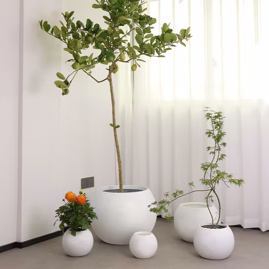 Beliebter Amazon-Heißverkauf, Bürodekoration, Orchideentöpfe im nordischen Stil, hoher runder Blumentopf aus Kunststoff, Pflanztopf, Gartenpflanzer, umweltfreundliche Töpfe