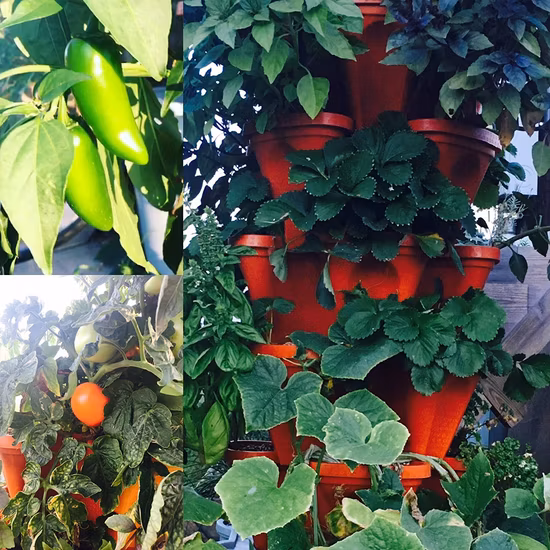 Mehrschichtiges, vertikal stapelbares, hängendes, stapelbares Pflanzkasten-Set aus Kunststoff mit Pflanzgefäßen für den Gartenturm, Blumentopf